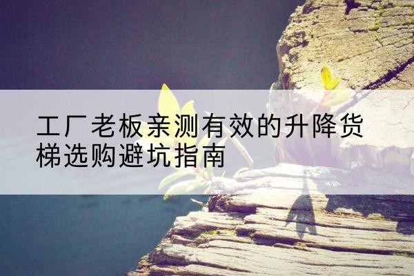 临西升降货梯怎么选-工厂老板亲测有效的升降货梯选购避坑指南
