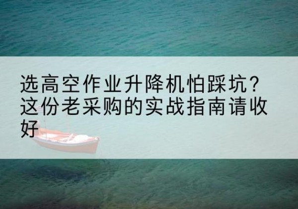 临西高空作业升降机厂家推荐-选高空作业升降机怕踩坑？这份老采购的实战指南请收好