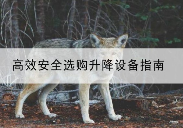 临西升降货梯厂家推荐-*安全选购升降设备指南