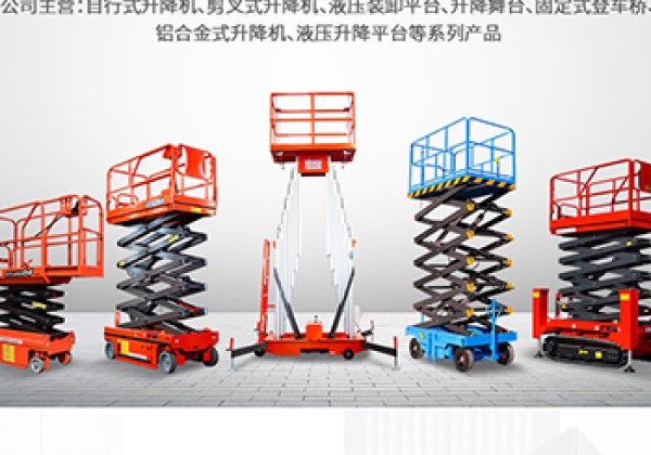 临西​出口成为核心增长引擎