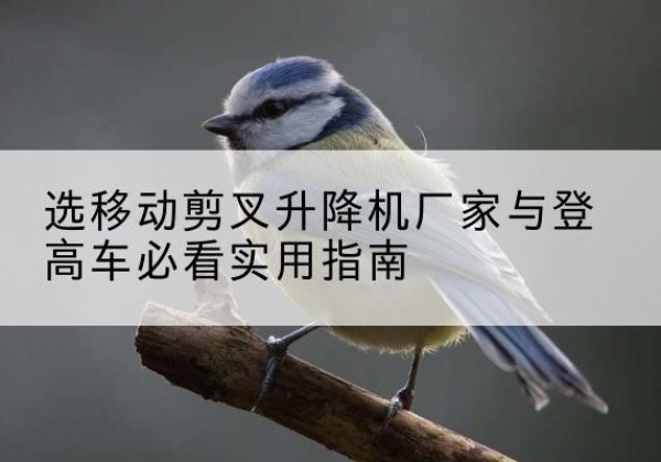 临西电动升降机厂家-选移动剪叉升降机厂家与登高车必看实用指南
