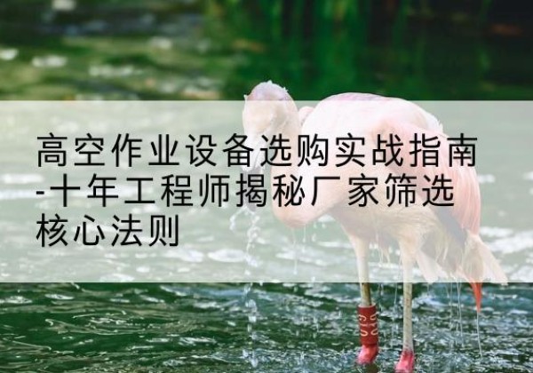临西剪叉式升降机厂家-高空作业设备选购实战指南-十年工程师揭秘厂家筛选核心法则