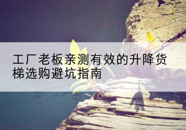 临西升降货梯怎么选-工厂老板亲测有效的升降货梯选购避坑指南